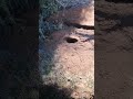 حفر بواسطة فاس 