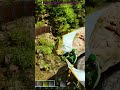Looking For My Argy #arksurvivalevolved #arksurvivalascended #gamer #gaming #dinosaur #arksupreme