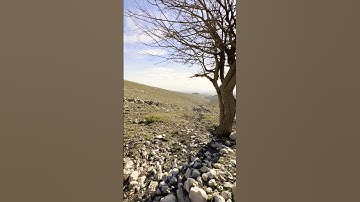 #قرآن #قران_كريم #اسلام_صبحي #تلاوة_خاشعة #المصحف #هدوء #طبيعة #راحة_نفسية #اكسبلور