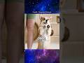 What Neil Tyson Thinks About Dogs 🤔🐾