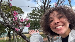 Day 33 - Cherry Blossoms