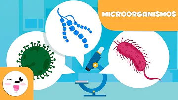 Como são chamados os microorganismos?