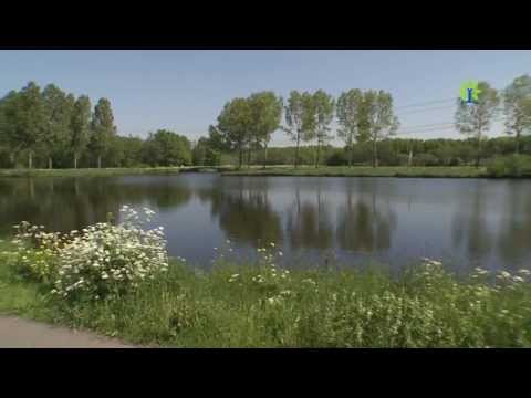 Tjakalele Bulu Ayam ( Group KebudajaanNunusaku ) dari Capelle aan den IJssel Tjakalele Bulu Ayam ( Group KebudajaanNunusaku ) dari Capelle aan den IJssel