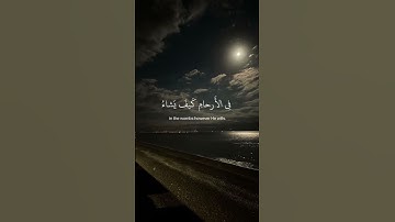 ﴿إنَّ الله لَا يَخفى عَليهِ شَيء﴾ 🤍 سورة آل عمران ، عبد الرحمن #قرآن# ارح_قلبك # قران_كريم