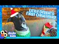 Uh-oh! This Dog Forgot To Get A Christmas Gift For Mom! | Dodo Kids | Happy Holidays