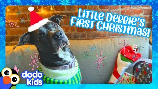 Uh-oh! This Dog Forgot To Get A Christmas Gift For Mom! | Dodo Kids | Happy Holidays