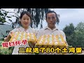 懷孕媳婦上山看二叔，二叔送80個土雞蛋，滿滿都是幸福【婷妹要努力】