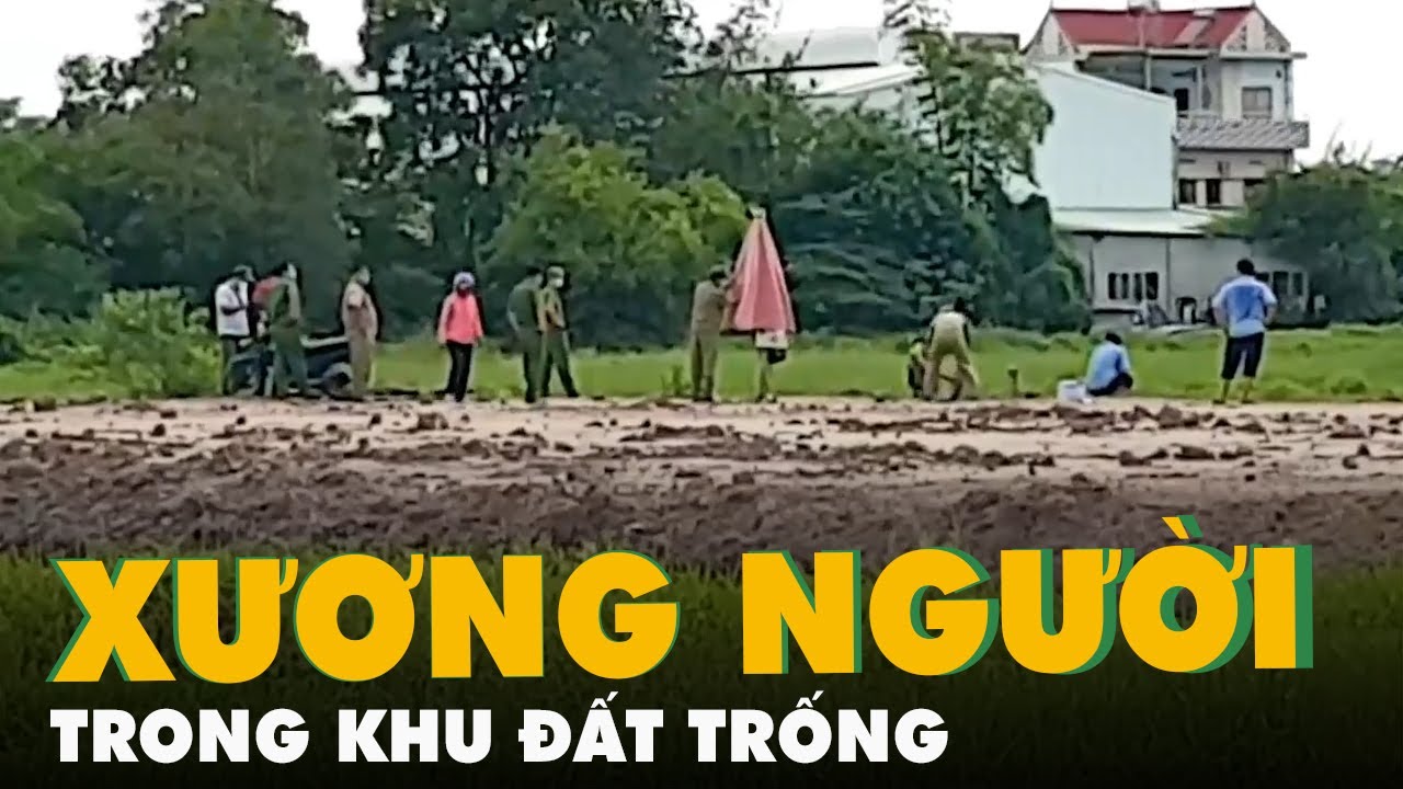 Phát hiện bộ xương người trong khu đất trống ở Bình... - youtube