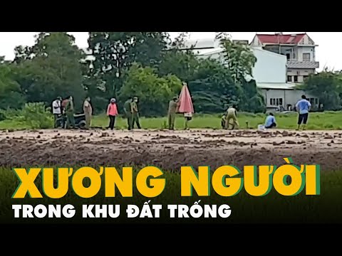 Video Phát hiện bộ xương người trong khu đất trống ở Bình... - youtube