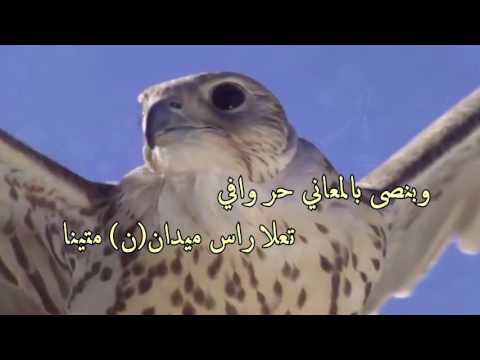 ابوتركي تنصته القصايد كلمات عمر ال حسين التميمي