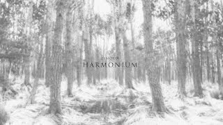 Zimoun Harmonium Iv 2025 Room40