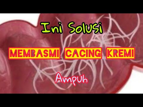 Cara menghilangkan cacing kremi secara alami