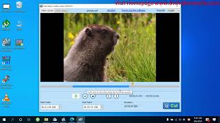 how to cut and join video files with Free Video Cutter Joiner screenshot 2