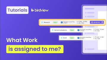 What Work is Assigned to Me | Birdview tutorial