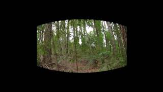 THE BEST BIGFOOT VIDEO EVER ! in Slow motion 3D VR @Unseensevenx