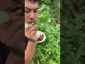 Mukbang lalapan mentah #mukbang #masbrams #fyp #shorts
