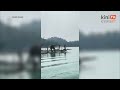 Gajah Sulong cedera ditemui, kini dipindahkan ke Tasik Kenyir untuk rawatan