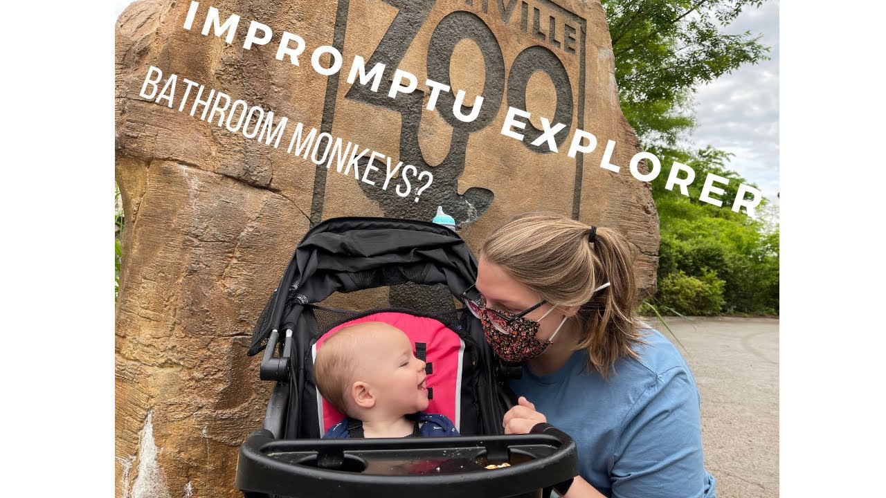 Nashville Zoo and Bathroom Monkeys? YouTube