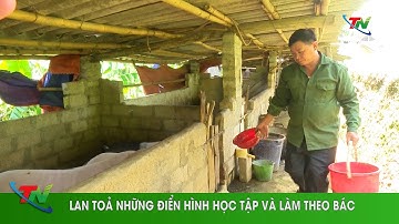 Lan toả những điển hình học tập và làm theo Bác