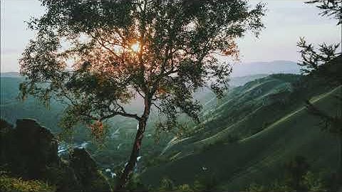 تلاوة جميلة وهادئة فاقت الوصف طيب مسامعك