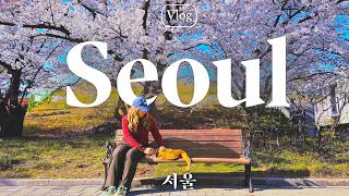 Seoul In 5 Days Vlog   This City Runs On Kpop but Im Here For Something Else