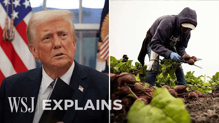 The Hidden Costs of Trump's Mass Deportations | WSJ