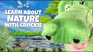 Learn About Nature | Kids Nature | Keep it Positive for Kids