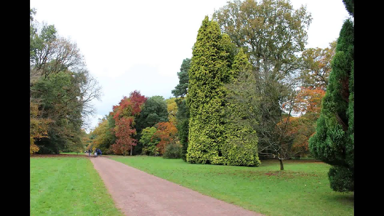 Westonbirt Arboretum Autumn Colours 25 October 2014 - YouTube