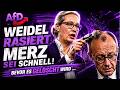 Weidel AfD RECHNET gnadenlos mit Merz Regierung ab!