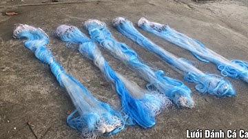 LƯỚI ĐÁNH CÁ Bắt Cá 2kg - 10kg [ Cao 2m Then 4-5-6-7 Dài 80m Cước 25 ]