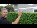 How to Install Artificial Ivy Panels on a Wooden Fence