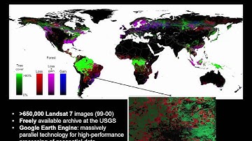 RS5.2 Forest land cover change mapping