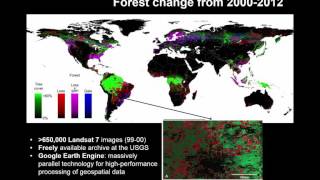 RS5.2 Forest land cover change mapping