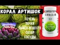 Корал Артишок. Коралловый клуб