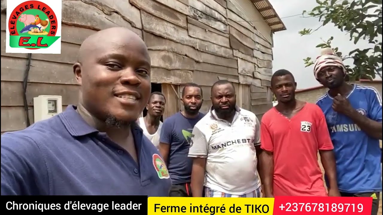 FERME INTÉGRÉE DE TIKO