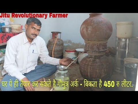 गौमूत्र से गौअर्क - बनाने की विधि, मिट्टी के घडों से. Pure Gauark. 80 बीमारियों- का इलाज गौअर्क से.