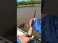 Non-stop Barra action fishing the run off! #fishingaddiction #fishingaustralia #fishing #barramundi