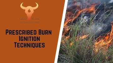 Prescribed Burn Ignition Techniques