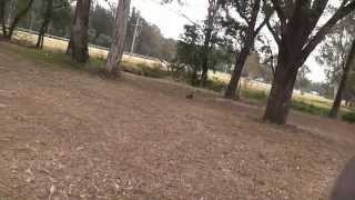 Phantom 400 RC Dirt Bike