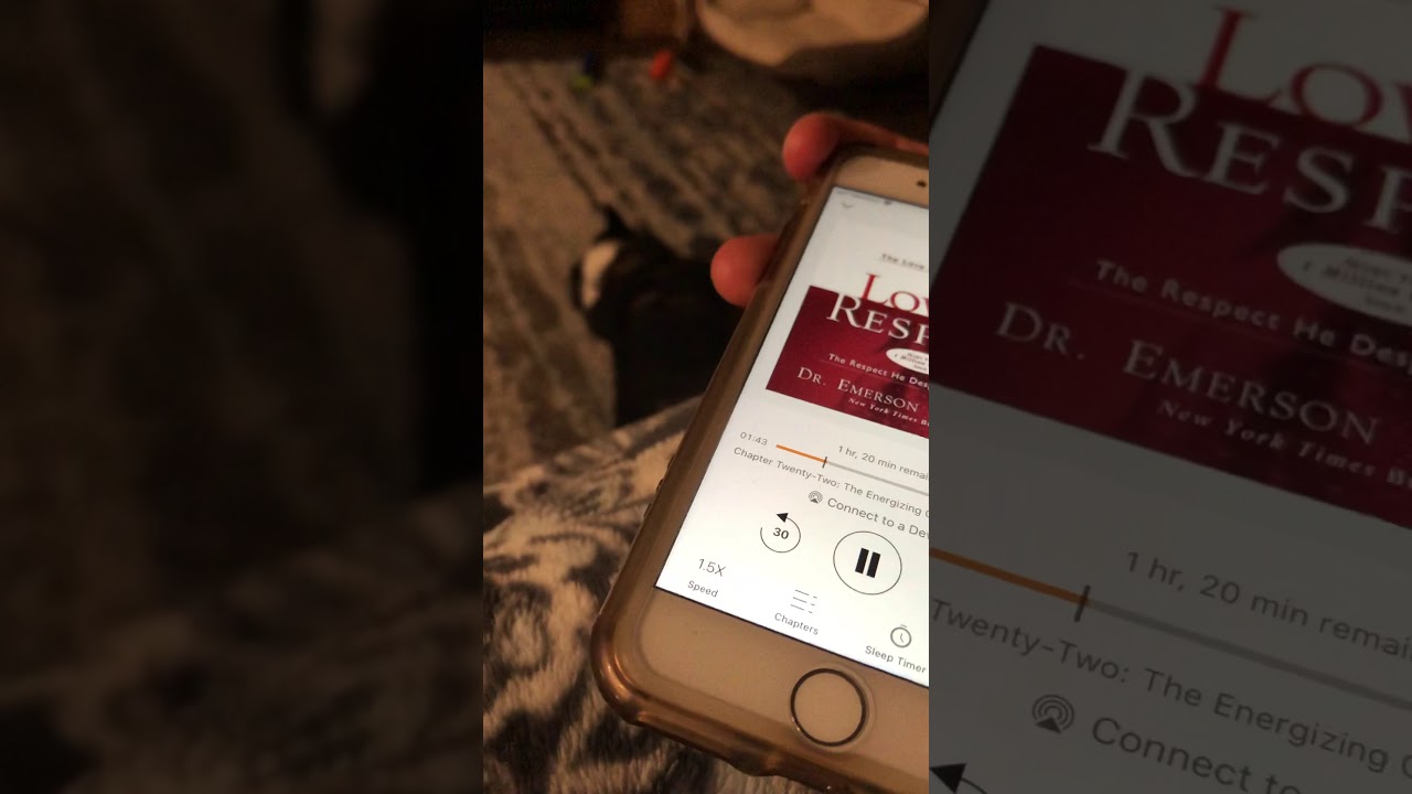 Language of love and respect excerpt