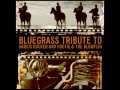 Comeback song  bluegrass tribute to darius rucker and hootie  the blowfish