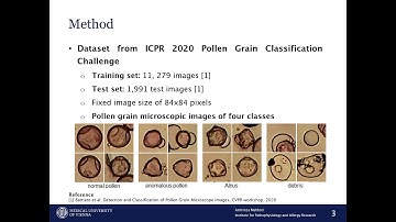 Pollen Grain Microscopic Image Classification Using an Ensemble of Fine-Tuned Deep CNNs