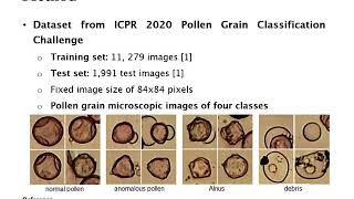 Famous Pollen Grain Microscopic Image Classification Using an Ensemble of Fine-Tuned Deep CNNs Profile