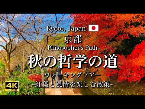 Video: Kus Kyotos peatuda