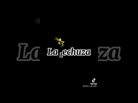 la lechuza del