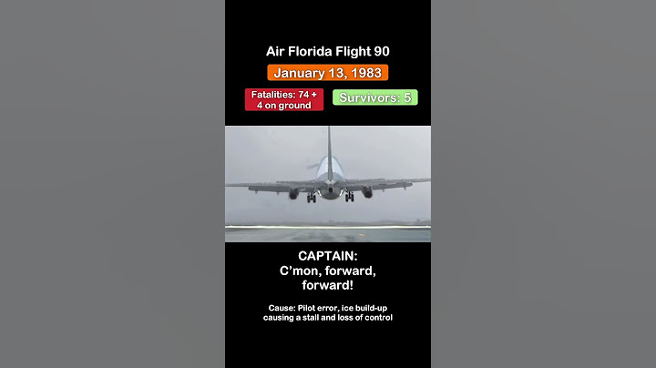 Air Florida Flight 90 Cockpit Recording | Crash Animation + Real Audio