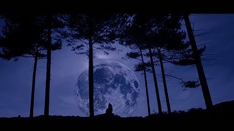 Stadiumx & Taylr Renee - Howl At The Moon (Official Music Video)
