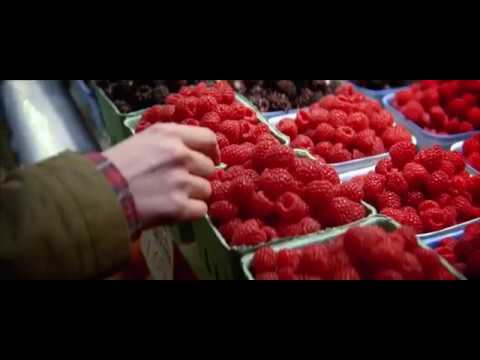 Корм NOW FRESH