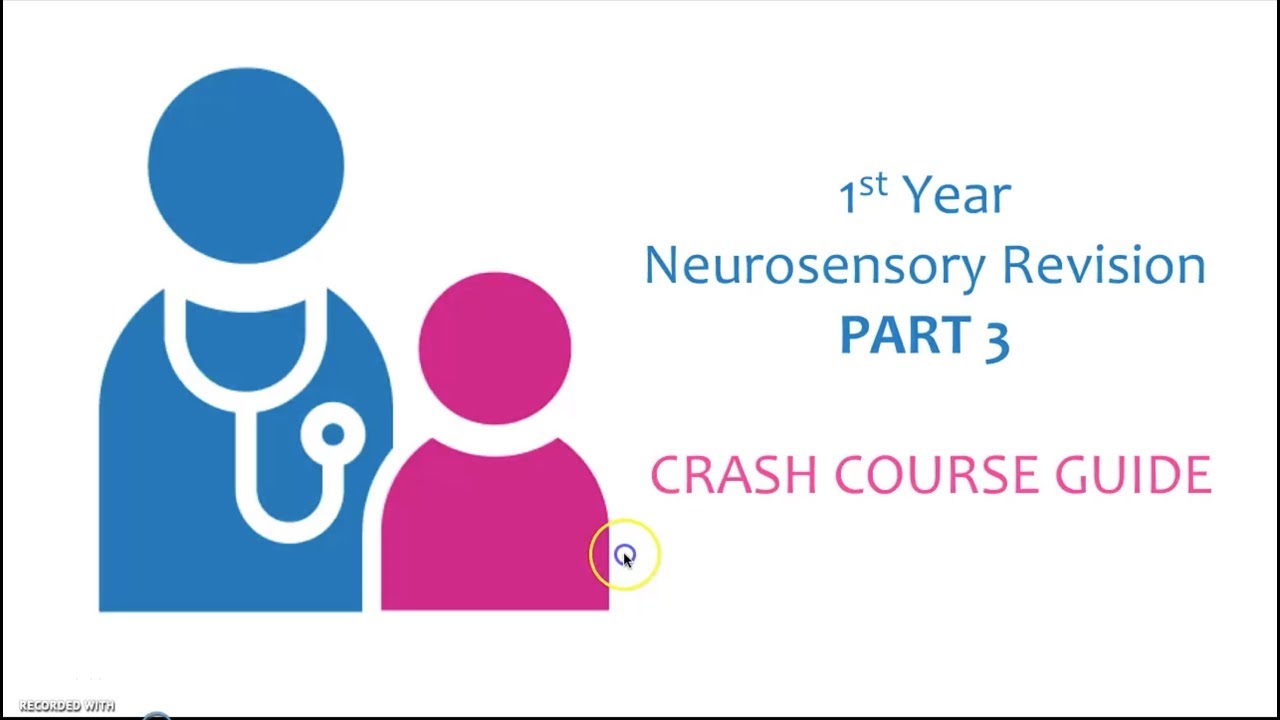 Neurosensory revision - Part 3