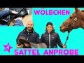 Wölbchen beim SATTLER I Sattelanprobe I Passt mein Sattel?